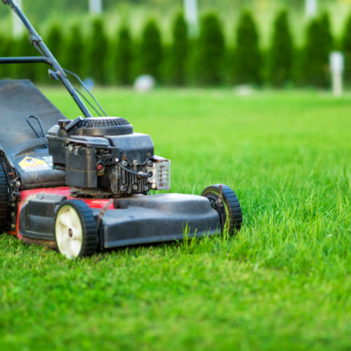 A push mower, cutting grass.
