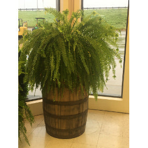 Whiskey Barrel